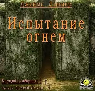 Дэшнер Джеймс - Испытание огнем