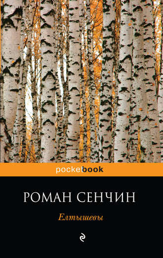 Сенчин Роман - Елтышевы