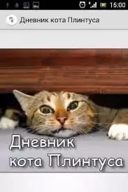 skotina - Записки кота Плинтуса