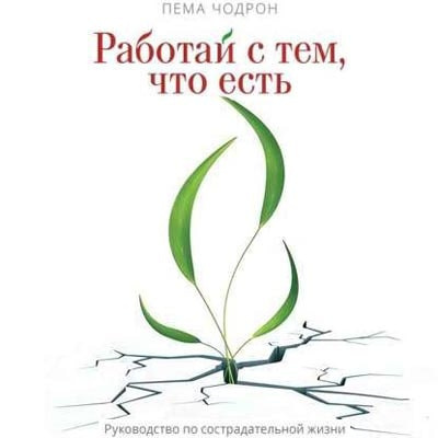 Чодрон Пема - Работай с тем, что есть. Руководство по сострадательной жизни