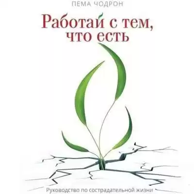 Чодрон Пема - Работай с тем, что есть. Руководство по сострадательной жизни