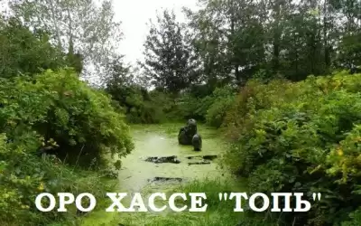Оро Хассе - Топь
