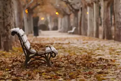 Хьюман Дэми - Последний день Сэма Симпла