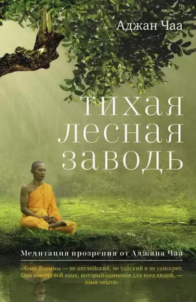 Чаа Аджан - Тихая лесная заводь