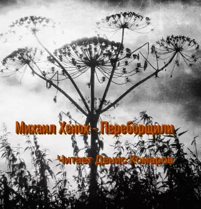Хенох Михаил - Переборщили