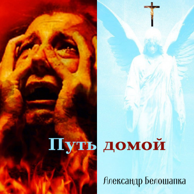 Белошапка Александр, Белошапка Наталья - Путь домой. Книга 1. Путь домой.