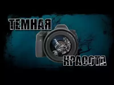 Видинеев Дмитрий - Темная красота