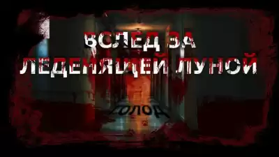 Чигуров Антон - Вслед за леденящей Луной