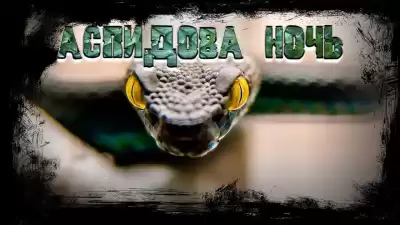 Пислегин Алексей - Аспидова ночь