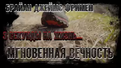 Фриман Брайан - Мгновенная вечность