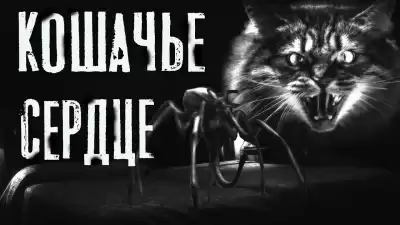 Темир Руслан - Кошачье сердце