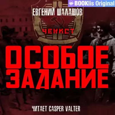 Шалашов Евгений - Чекист. Особое задание