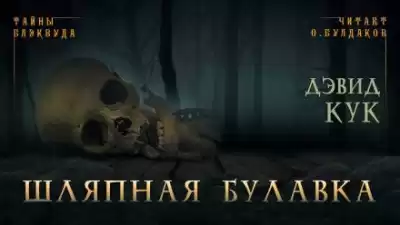 Кук Дэвид - Шляпная булавка