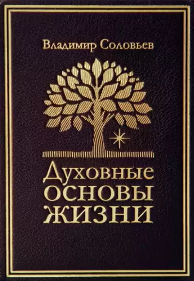 Соловьев Владимир - Духовные основы жизни