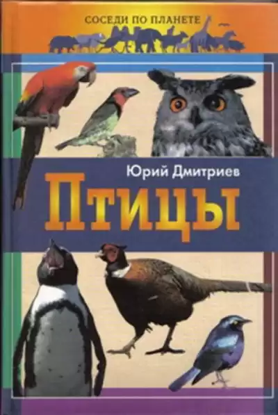 Дмитриев Юрий - Птицы
