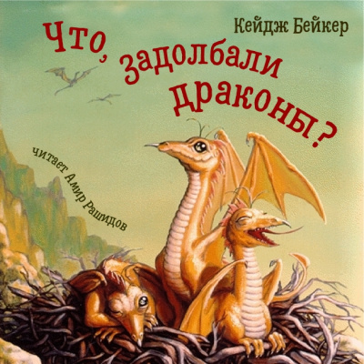 Бейкер Кейдж - Что, задолбали драконы