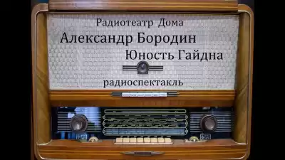 Бородин Александр - Юность Гайдна
