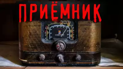 Лесная Елена - Приёмник