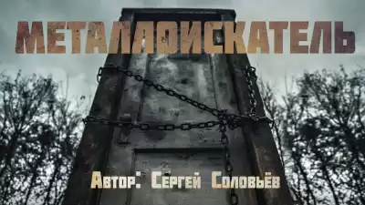 Соловьёв Сергей - Металлоискатель