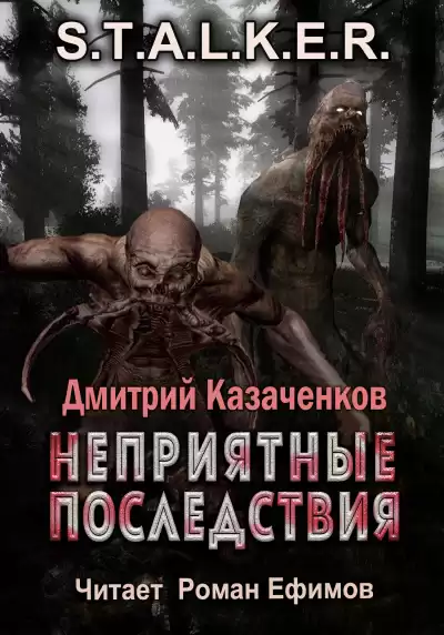 Казаченков Дмитрий - S.T.A.L.K.E.R. Неприятные последствия