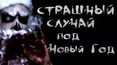 Шалункова Анастасия - Страшный случай под Новый год