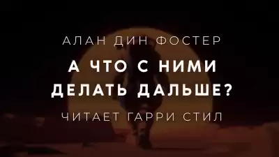 Фостер Алан-Дин - А что с ними делать дальше