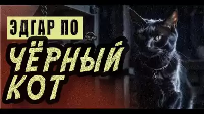 По Эдгар Аллан - Черный кот