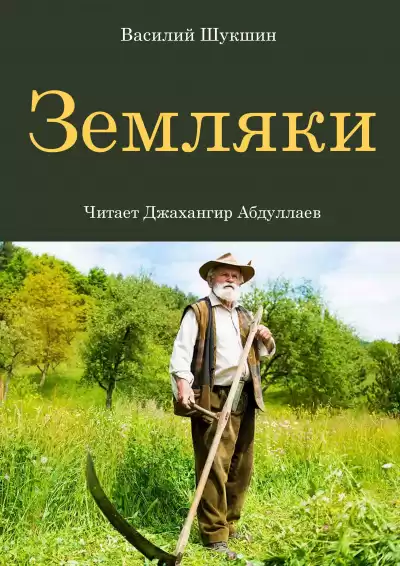 Шукшин Василий - Земляки