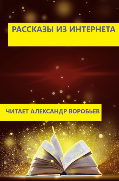 Неизвестный автор - Рассказы из интернета