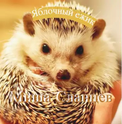 Сланцев Миша - Яблочный ежик