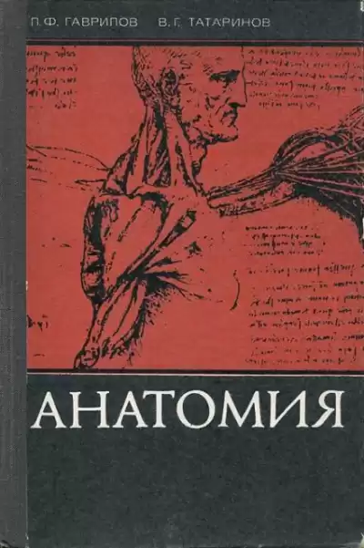 Гаврилов Леопольд, Татаринов Василий - Анатомия
