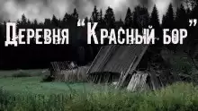 Скоркина Юлия - Деревня «Красный бор»