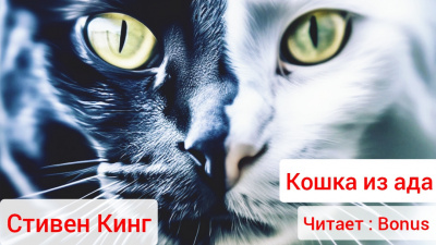 Кинг Стивен - Кошка из ада