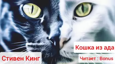 Кинг Стивен - Кошка из ада
