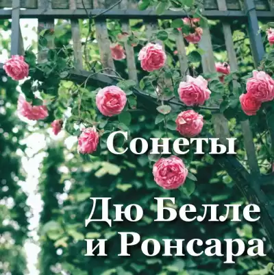 Дю Белле Жоашен, Ронсар Пьер - Сонеты