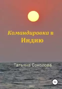Соколова Татьяна - Командировка в Индию