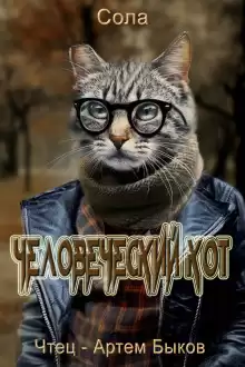 Сола - Человеческий кот