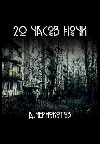 Дмитрий Чернокотов – 20 часов ночи