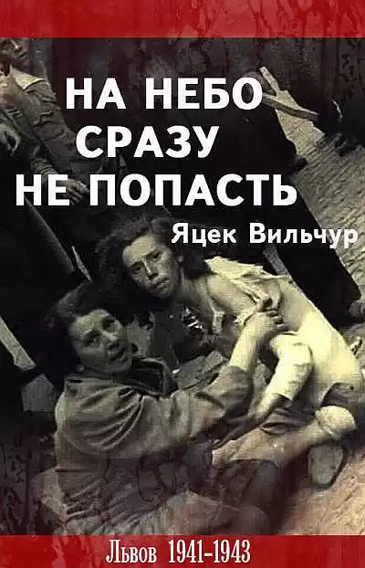 Вильчур Яцек - На небо сразу не попасть