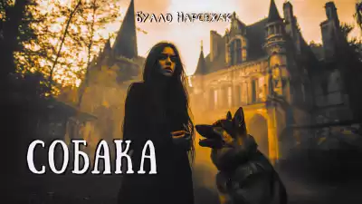 Буало-Нарсежак – Собака