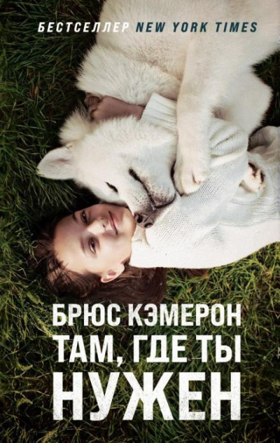 Кэмерон Брюс – Там, где ты нужен