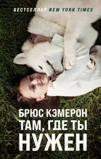 Кэмерон Брюс – Там, где ты нужен