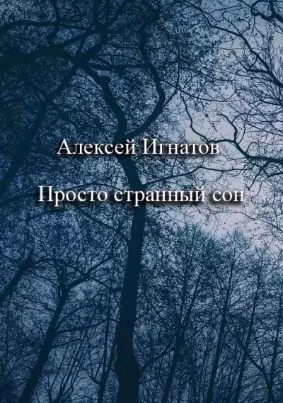 Игнатов Алексей – Просто странный сон