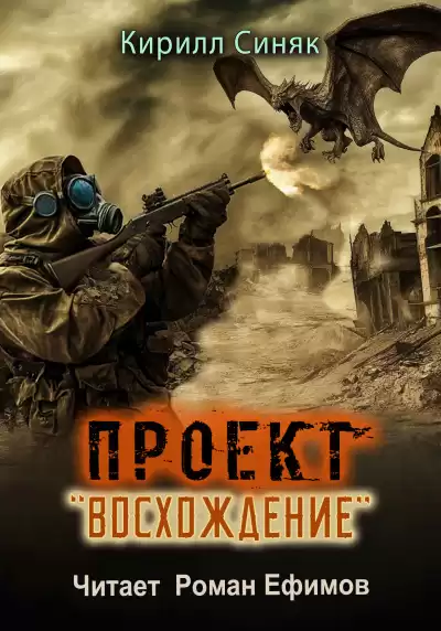 Синяк Кирилл – Проект Восхождение