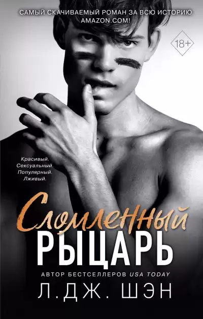 Шэн Л. Дж. – Сломленный рыцарь