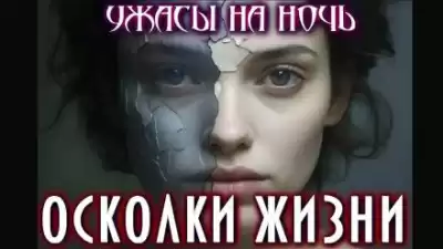 Димерски Мэтт – Осколки жизни