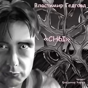 Гедговд Властимир – Серия СНЫ