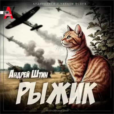 Штин Андрей – Рыжик