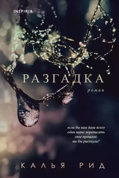 Рид Калья – Разгадка