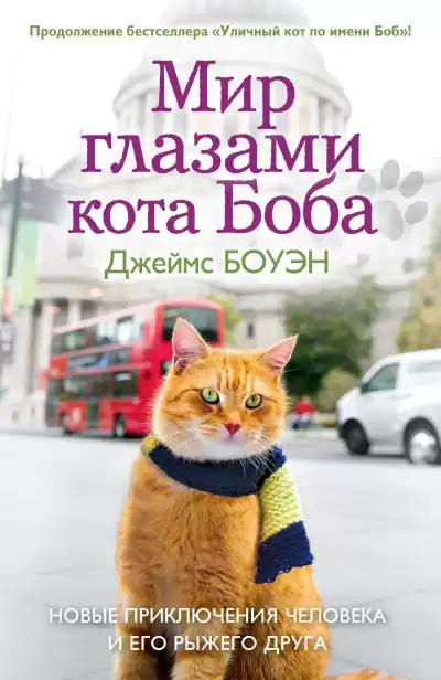 Боуэн Джеймс – Мир глазами кота Боба